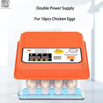 16 двухэлектрических системи с компютърен контрол, автоматични инкубатори, пиле, производство на кокоши яйца, Incubatrice Uova